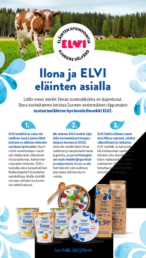 Lidl Koko Suomen tarjoukset sivu 17